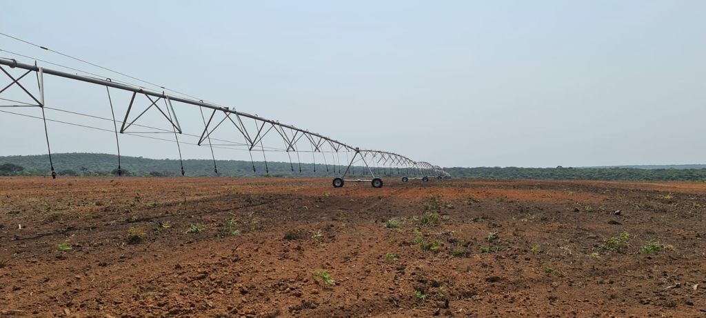 Pivots. © Owini and Agricultiva from the Mitrelli group