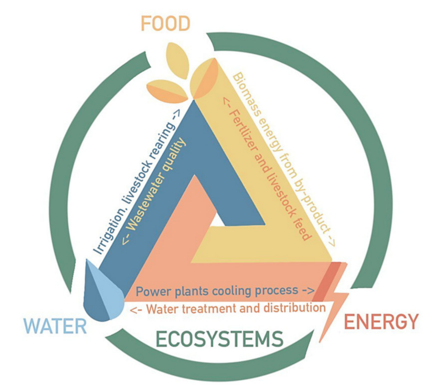 Research Article // Modeling and Optimization of Water–Food–Energy ...