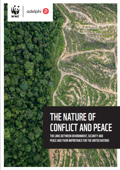 Report // The nature of conflict and peace: The links between ...