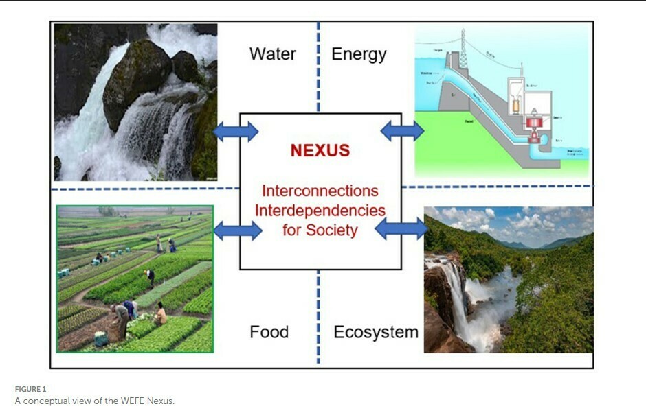 Research Article // Water-energy-food-ecosystem nexus in India—A review ...