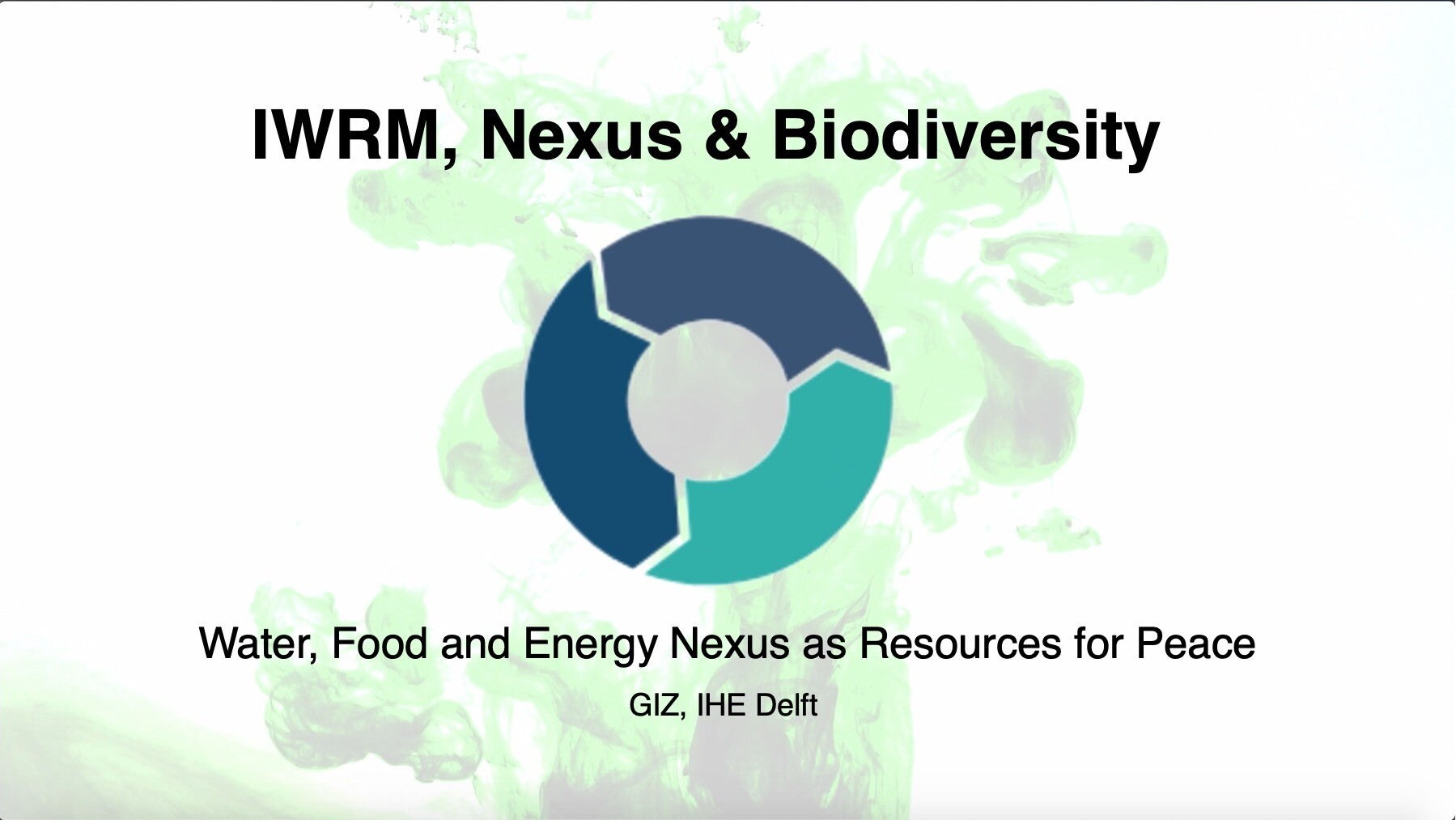 Online Event // Water, Food and Energy Nexus as Resources for Peace ...
