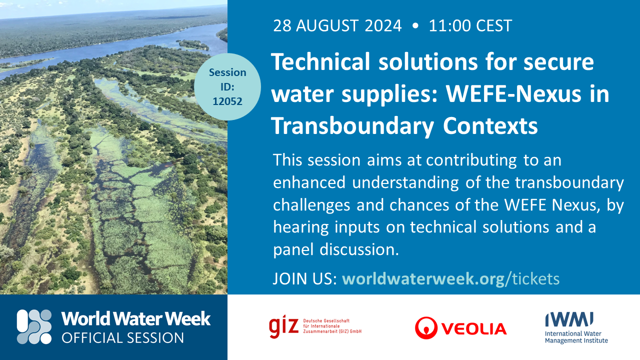 Stockholm World Water Week 2024 // SIWI Seminar Series (3/3): Technical ...