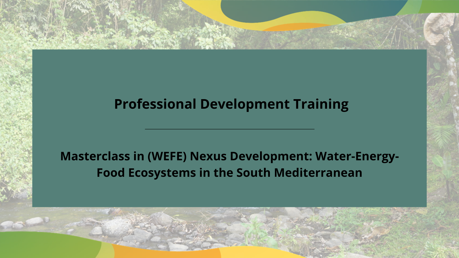 Professional Development Training // Masterclass in (WEFE) Nexus ...