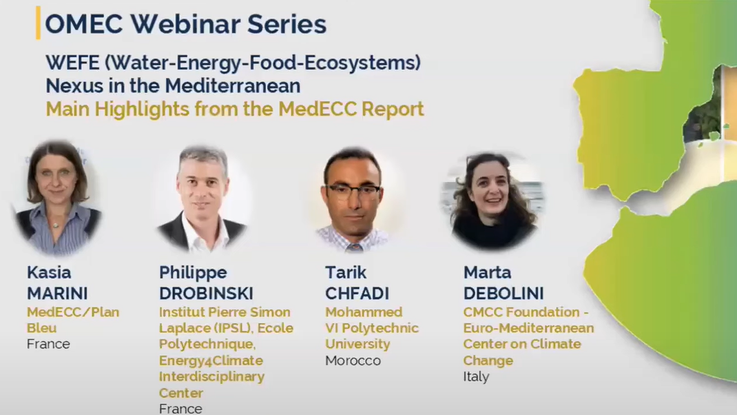 Webinar // WEFE Nexus in the Mediterranean | Nexus - The Water, Energy ...