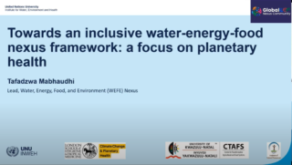 Webinar // Towards an Inclusive Water Energy Food Nexus Framework: A ...