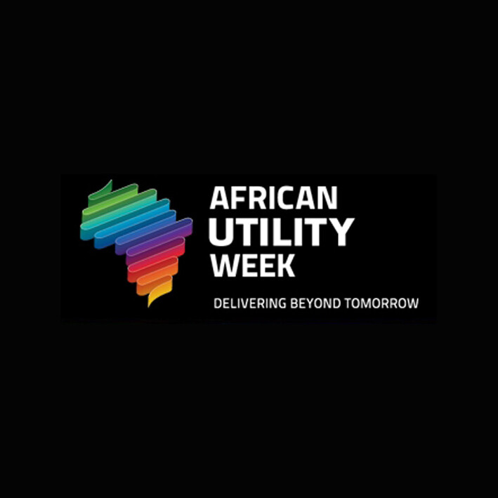 Africa Utility Week // The Nexus Perspective: a useful Instrument for ...